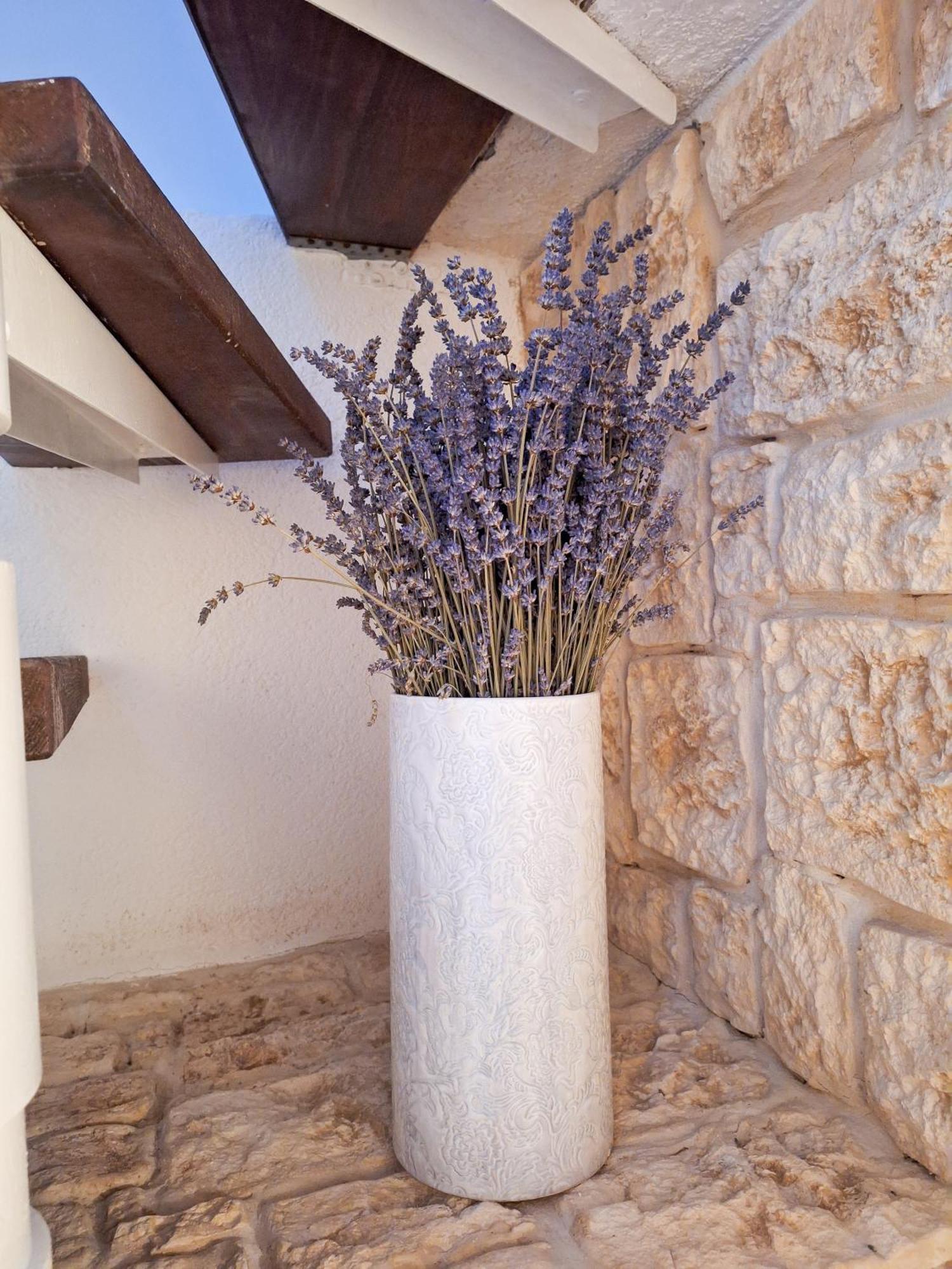 טרוגיר St Peter'S Heritage House מראה חיצוני תמונה